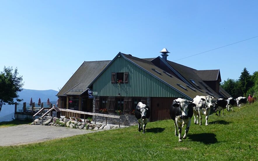 Ferme-Auberge du Gaschney