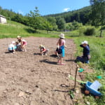 Elevage les Highlands de Hautgoutte