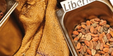Choc'Origine : secrets et fabrication du chocolat : de « la fève à la tablette »