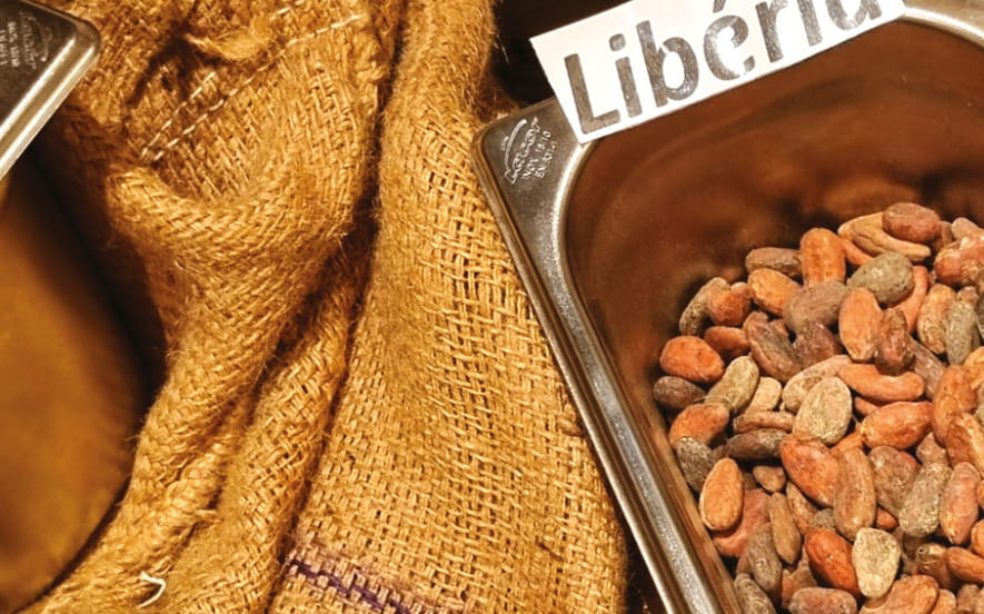Choc'Origine : secrets et fabrication du chocolat : de « la fève à la tablette »