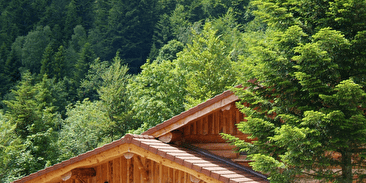 Chalet 15 personnes Brimbelles