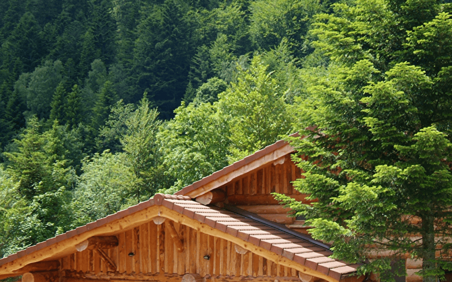 Chalet 15 personnes Brimbelles