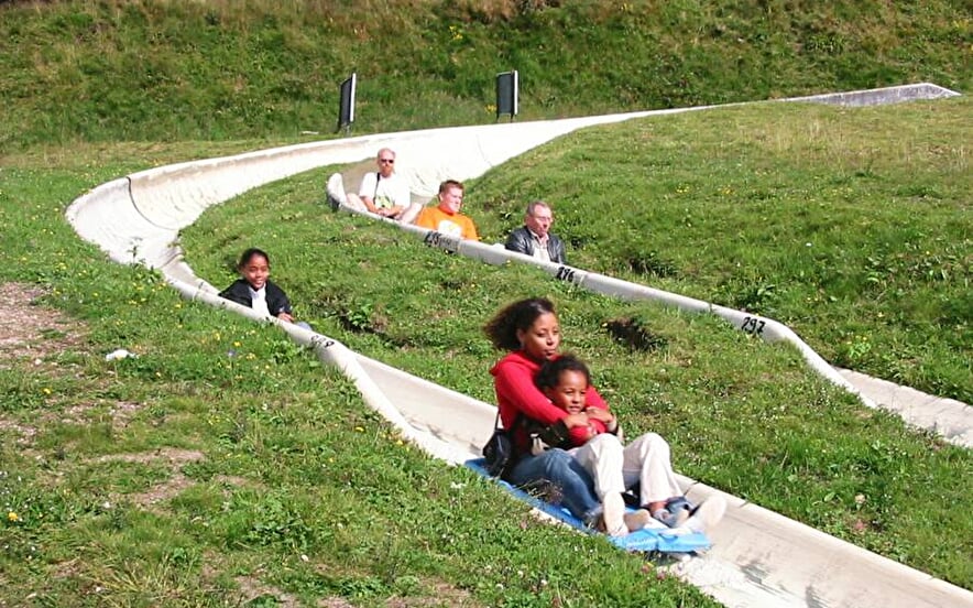 Luge d'été