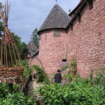 Jardin médiéval du Château du Haut-Koenigsbourg