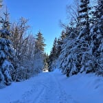 Circuit piéton - du Col du Calvaire à la digue du Lac Blanc