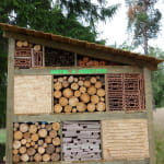 Sentier thématique : Le sentier de découverte de la forêt