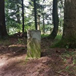 Circuit poussettes 4x4 H02 : La clairière du Hang