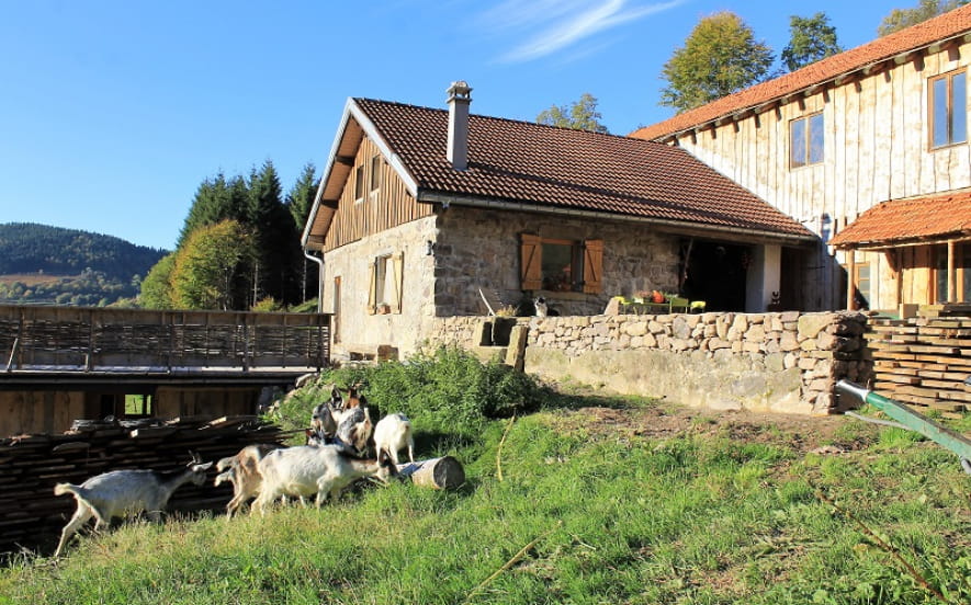 Ferme de Noiregoutte