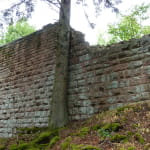 Ruines du Château du Grand Ringelstein