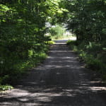 Sentier poussette - Un tour dans le Klosterwald
