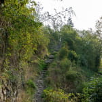Circuit du Narrenstein