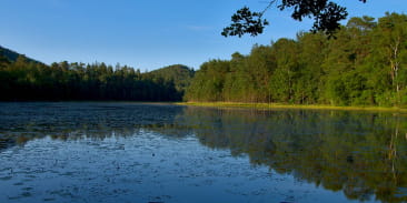 Réserve naturelle de l'étang de Lieschbach