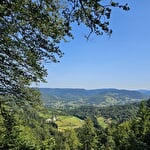 Balade famille - Circuit des étangs depuis l'Étang Noir