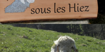 La Ferme sous les Hiez