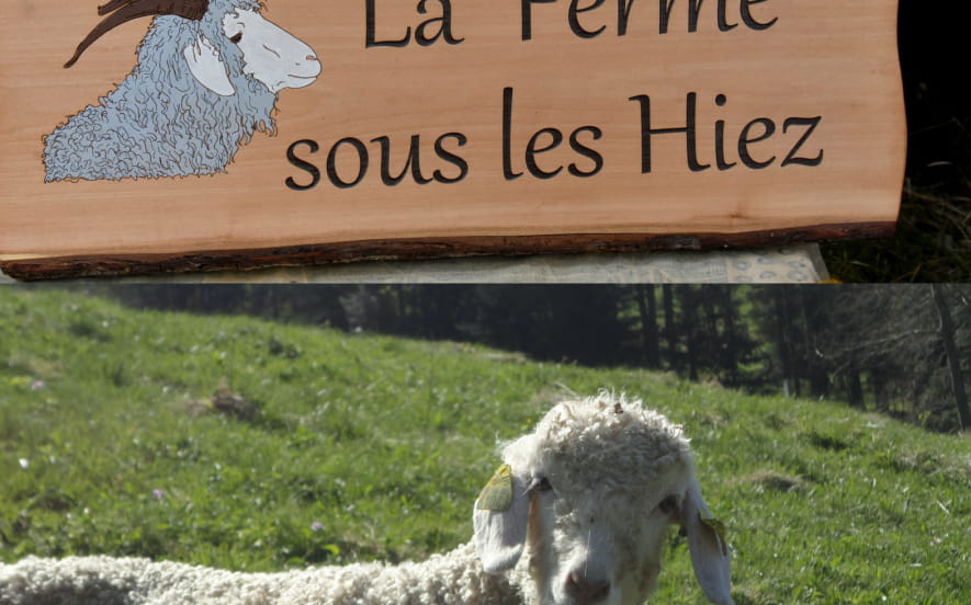 La Ferme sous les Hiez