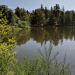 Belvédère de l'étang noir