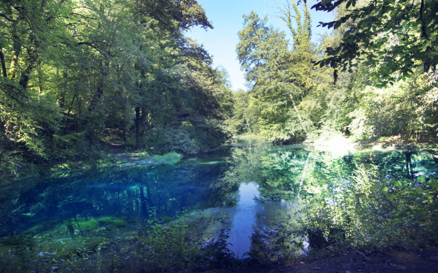 Source du Planey