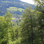 Chèvrerie du grand rouillier