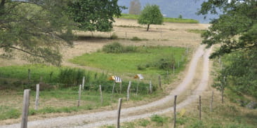 Sentier poussette - Les prairies de Neuve-Eglise
