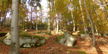 Camp Celtique