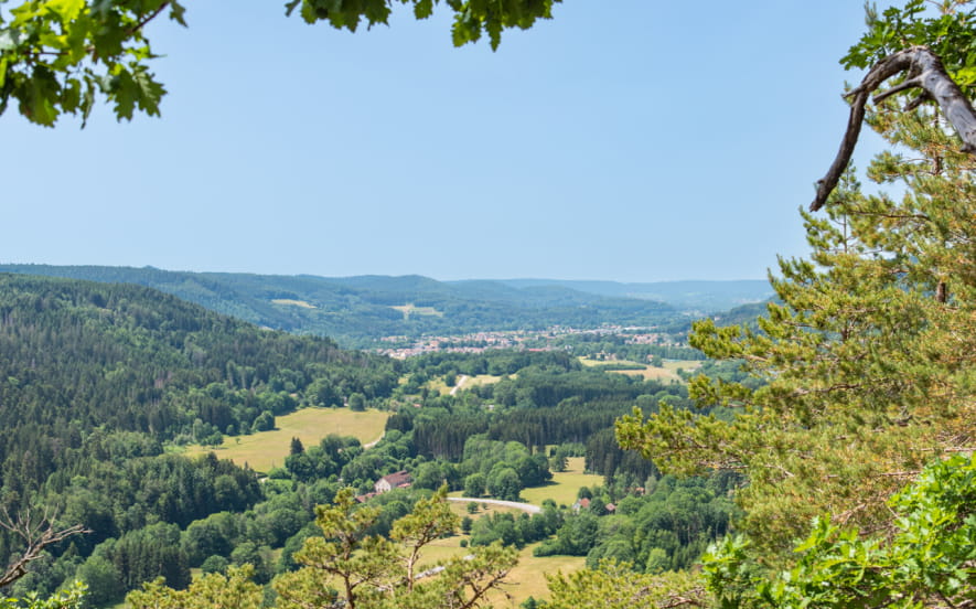 Le point de vue de Giropaire