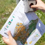 Parcours d'orientation - Circuit vert (découverte)