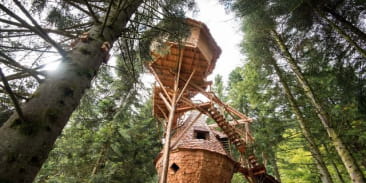La clairière aux cabanes