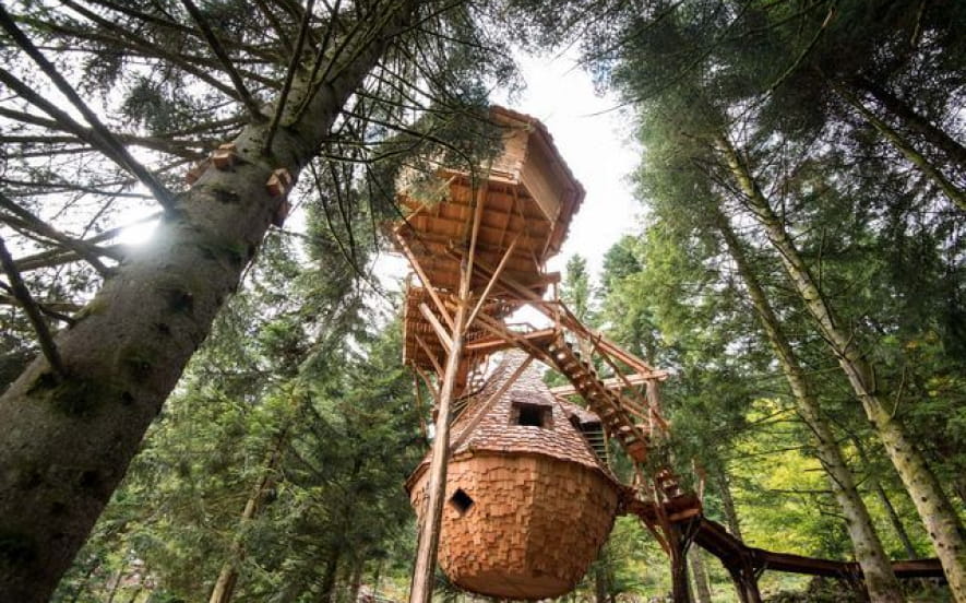 La clairière aux cabanes