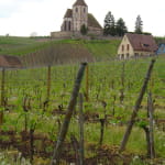 Visite chez le vigneron au domaine André VIELWEBER