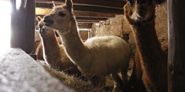 Ferme pédagogique de l'Altiplano