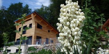 Villa Cora Venez 4 étoiles SPA privatif - Neuf- Vosges du Sud 