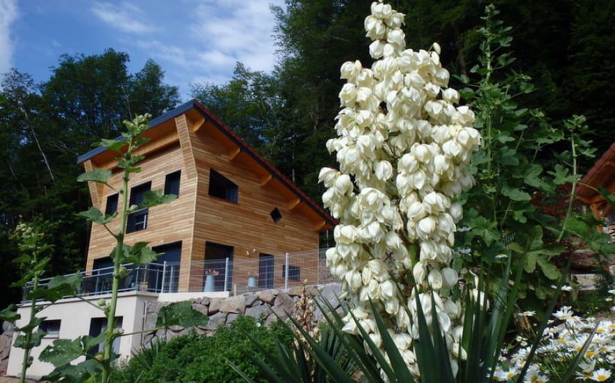 Villa Cora Venez 4 étoiles SPA privatif - Neuf- Vosges du Sud 