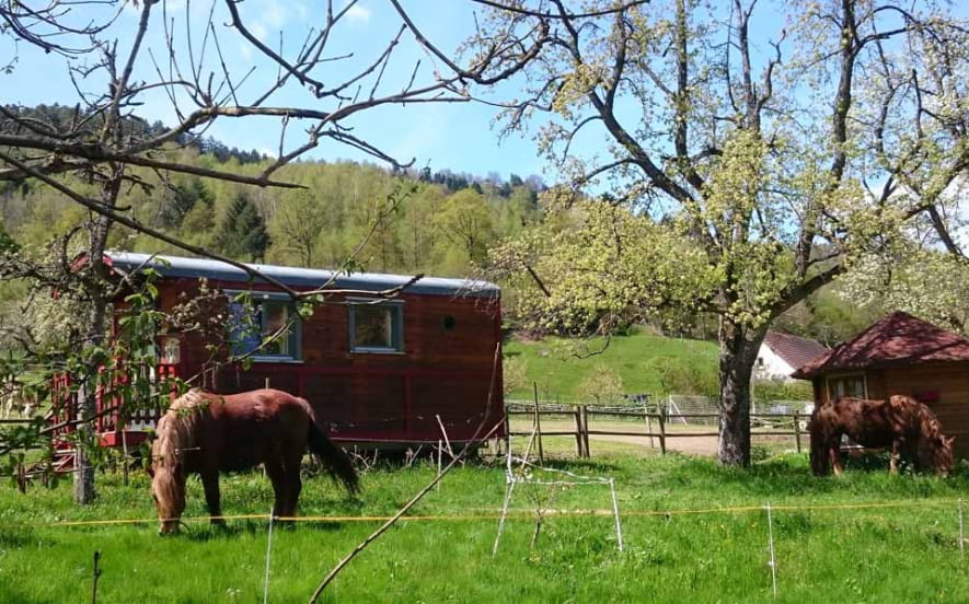 Roulotte du Mitzerlé