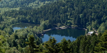 Pêche aux lacs du Neuweiher