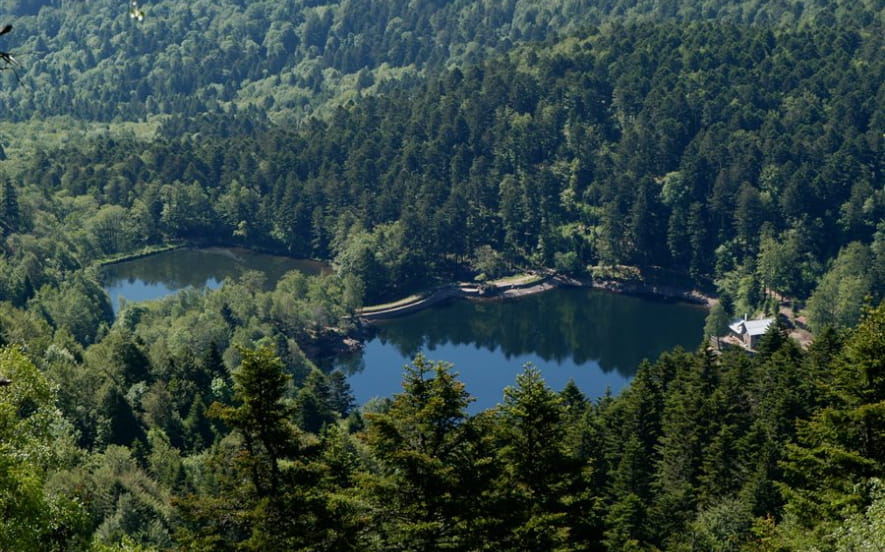 Pêche aux lacs du Neuweiher