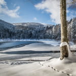 Lac de la Lauch