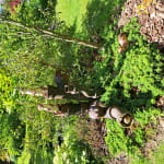 Sculptrice céramiste - A fleur de terre