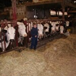 Ferme Grandemange - Gaec du Beillard