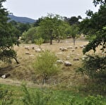 Sentier poussette - Les prairies de Neuve-Eglise