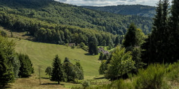 Circuit rando H19 : Autour du Château de Saint Louis le Sapinot