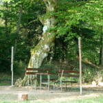 Circuit du Schlosswald