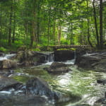 Le Saut des Cuves