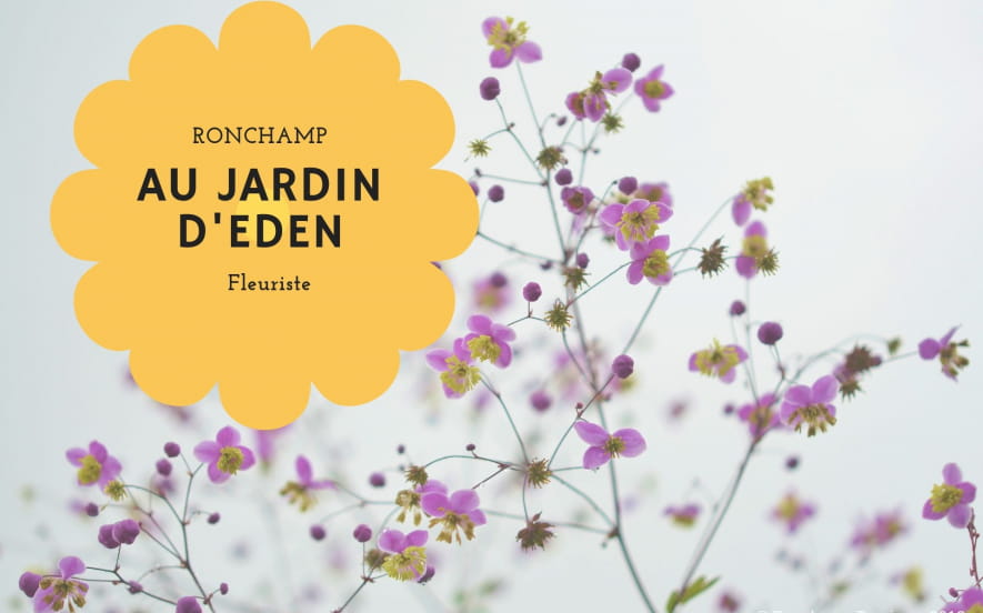Au Jardin d'Eden