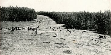 Rossberg (chaume saint Dié)