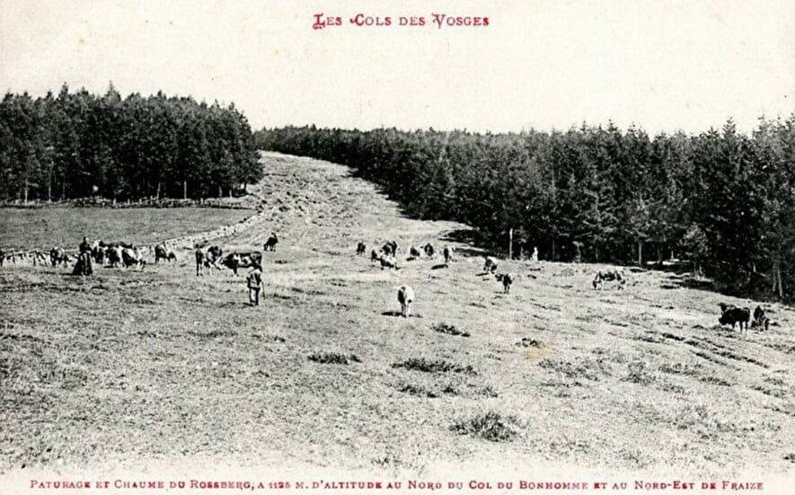 Rossberg (chaume saint Dié)