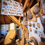 Visite en famille du musée du bois