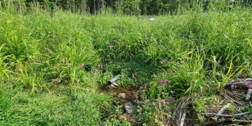 La source de Saint-Jacques