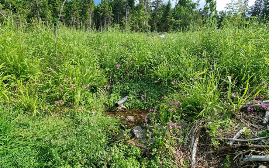 La source de Saint-Jacques