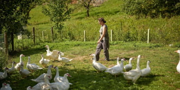 Ferme-auberge du Charapont