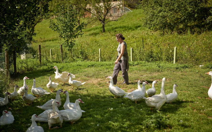 Ferme-auberge du Charapont